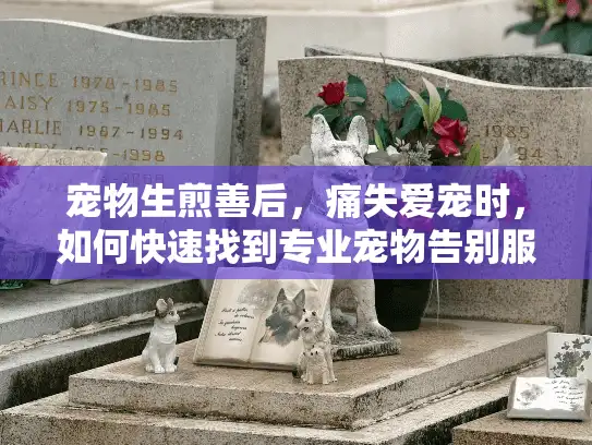 宠物生煎善后，痛失爱宠时，如何快速找到专业宠物告别服务