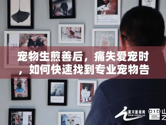 宠物生煎善后，痛失爱宠时，如何快速找到专业宠物告别服务