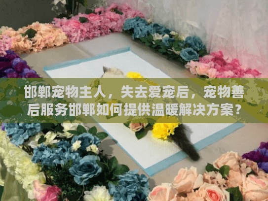 邯郸宠物主人，失去爱宠后，宠物善后服务邯郸如何提供温暖解决方案？