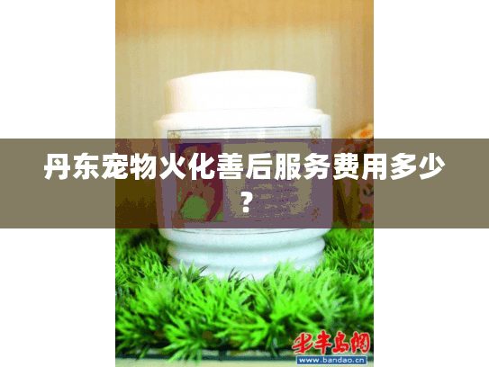 丹东宠物火化善后服务费用多少？