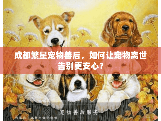 成都繁星宠物善后,如何让宠物离世告别更安心? 成都繁星宠物善后,如何让宠物离世告别更安心?