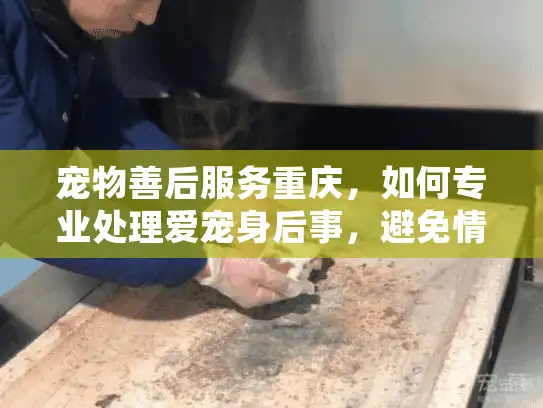 宠物善后服务重庆，如何专业处理爱宠身后事，避免情感遗憾？