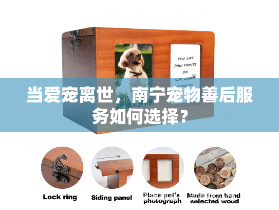 当爱宠离世，南宁宠物善后服务如何选择？