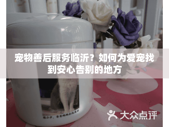 宠物善后服务临沂？如何为爱宠找到安心告别的地方