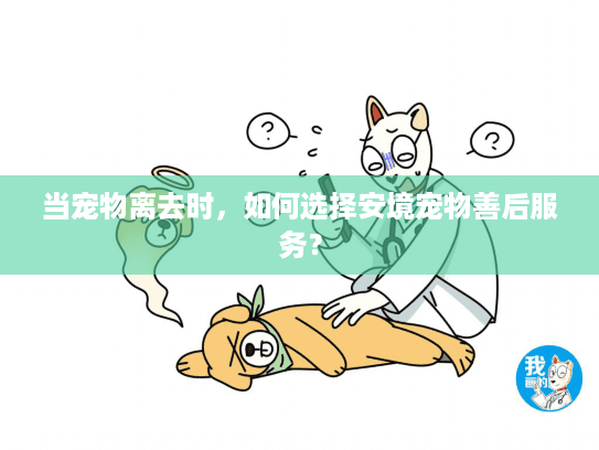 当宠物离去时，如何选择安境宠物善后服务？