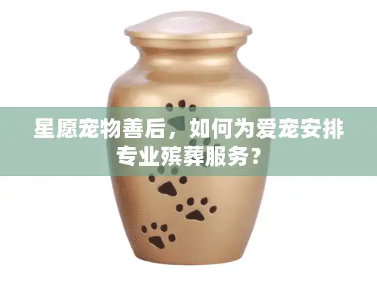 星愿宠物善后，如何为爱宠安排专业殡葬服务？