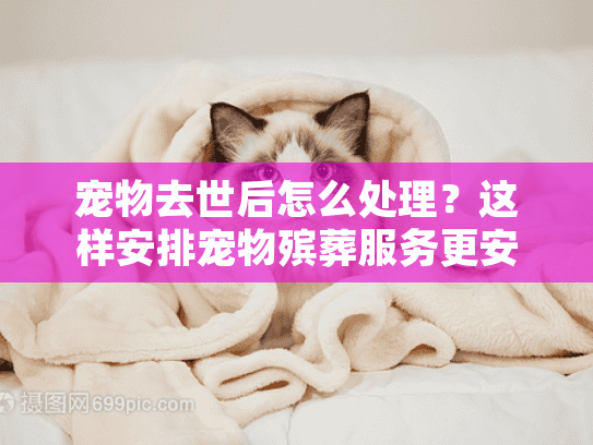 宠物去世后怎么处理?这样安排宠物殡葬服务更安心 宠物去世后怎么处理?这样安排宠物殡葬服务更安心