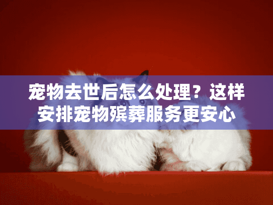 宠物去世后怎么处理?这样安排宠物殡葬服务更安心 宠物去世后怎么处理?这样安排宠物殡葬服务更安心