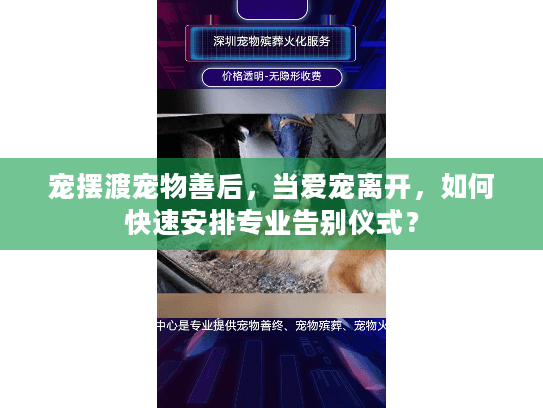 宠摆渡宠物善后,当爱宠离开,如何快速安排专业告别仪式? 宠摆渡宠物善后,当爱宠离开,如何快速安排专业告别仪式?
