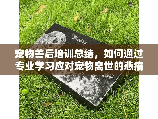 宠物善后培训总结,如何通过专业学习应对宠物离世的悲痛挑战 宠物善后培训总结,如何通过专业学习应对宠物离世的悲痛挑战