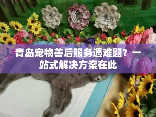 青岛宠物善后服务遇难题？一站式解决方案在此
