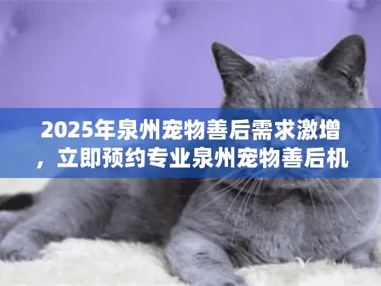 2025年泉州宠物善后需求激增，立即预约专业泉州宠物善后机构服务！