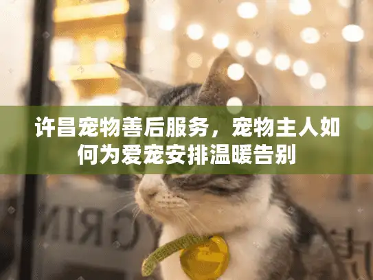 许昌宠物善后服务，宠物主人如何为爱宠安排温暖告别