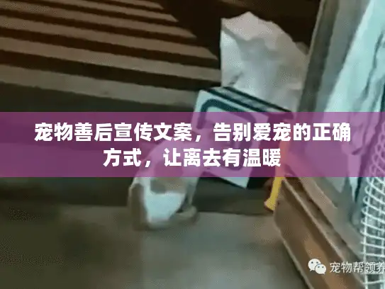 宠物善后宣传文案，告别爱宠的正确方式，让离去有温暖