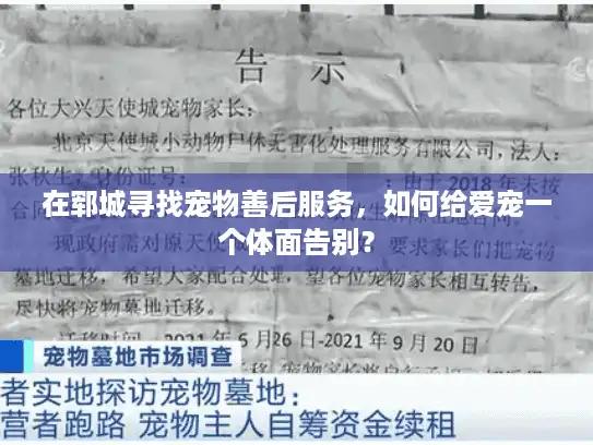 在郓城寻找宠物善后服务，如何给爱宠一个体面告别？