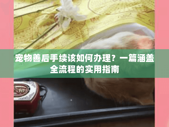 宠物善后手续该如何办理？一篇涵盖全流程的实用指南