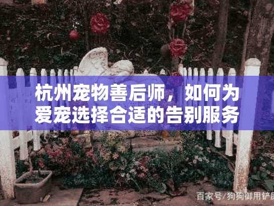 杭州宠物善后师,如何为爱宠选择合适的告别服务? 杭州宠物善后师,如何为爱宠选择合适的告别服务?