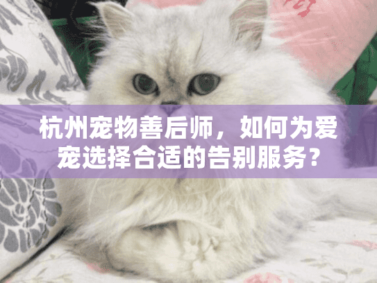 杭州宠物善后师,如何为爱宠选择合适的告别服务? 杭州宠物善后师,如何为爱宠选择合适的告别服务?