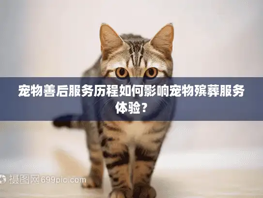 宠物善后服务历程如何影响宠物殡葬服务体验？