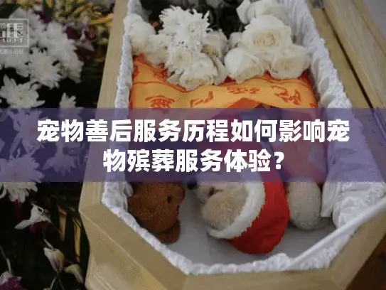 宠物善后服务历程如何影响宠物殡葬服务体验？