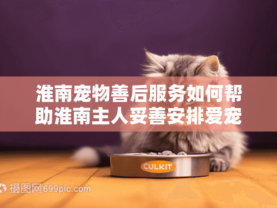 淮南宠物善后服务如何帮助淮南主人妥善安排爱宠的最后旅程？