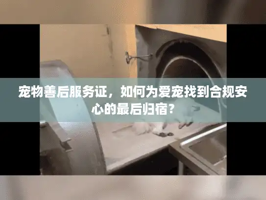 宠物善后服务证，如何为爱宠找到合规安心的最后归宿？