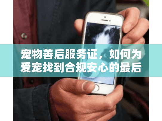 宠物善后服务证，如何为爱宠找到合规安心的最后归宿？