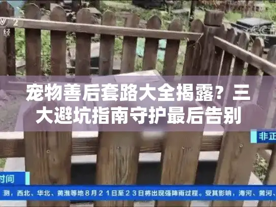 宠物善后套路大全揭露？三大避坑指南守护最后告别（附正规机构白名单）