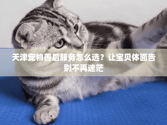 天津宠物善后服务怎么选？让宝贝体面告别不再迷茫