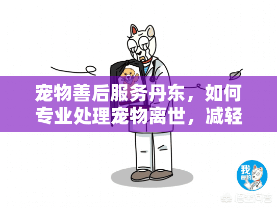 宠物善后服务丹东，如何专业处理宠物离世，减轻您的悲伤？