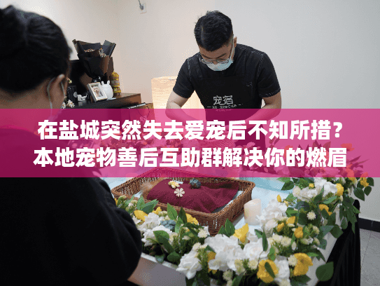 在盐城突然失去爱宠后不知所措?本地宠物善后互助群解决你的燃眉之急 在盐城突然失去爱宠后不知所措?本地宠物善后互助群解决你的燃眉之急