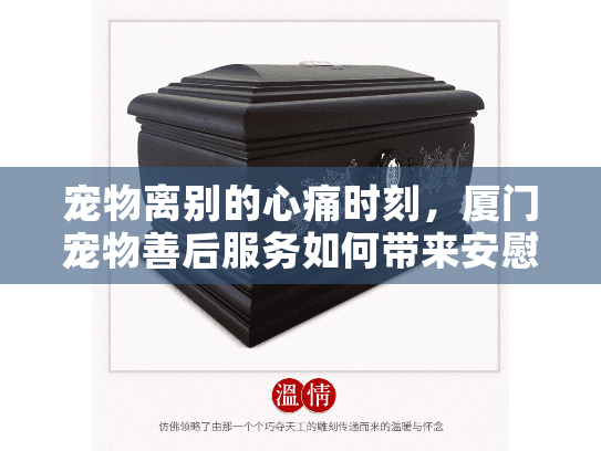 宠物离别的心痛时刻,厦门宠物善后服务如何带来安慰 宠物离别的心痛时刻,厦门宠物善后服务如何带来安慰