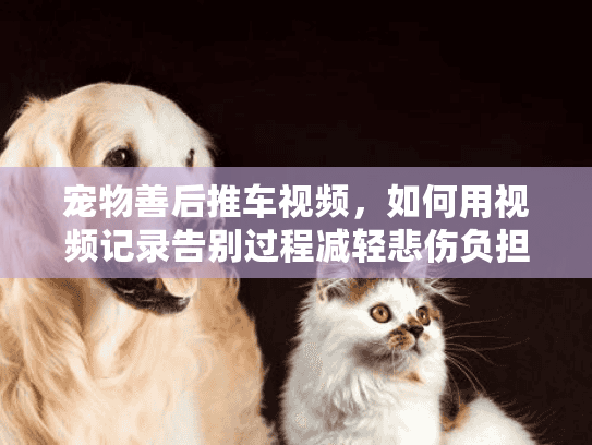 宠物善后推车视频,如何用视频记录告别过程减轻悲伤负担 宠物善后推车视频,如何用视频记录告别过程减轻悲伤负担