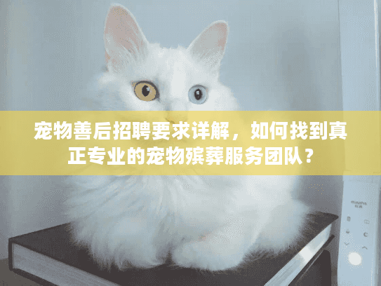 宠物善后招聘要求详解，如何找到真正专业的宠物殡葬服务团队？