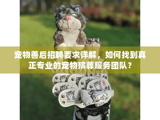 宠物善后招聘要求详解，如何找到真正专业的宠物殡葬服务团队？