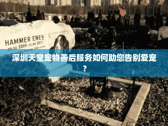 深圳天堂宠物善后服务如何助您告别爱宠？
