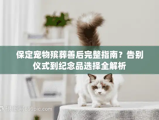 保定宠物殡葬善后完整指南？告别仪式到纪念品选择全解析