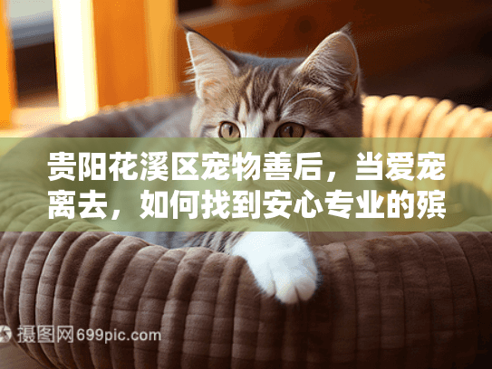 贵阳花溪区宠物善后，当爱宠离去，如何找到安心专业的殡葬服务？