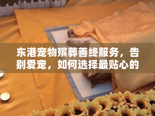 东港宠物殡葬善终服务,告别爱宠,如何选择最贴心的方案? 东港宠物殡葬善终服务,告别爱宠,如何选择最贴心的方案?