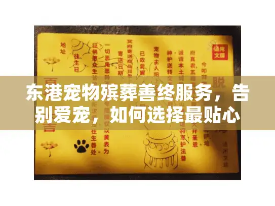 东港宠物殡葬善终服务,告别爱宠,如何选择最贴心的方案? 东港宠物殡葬善终服务,告别爱宠,如何选择最贴心的方案?