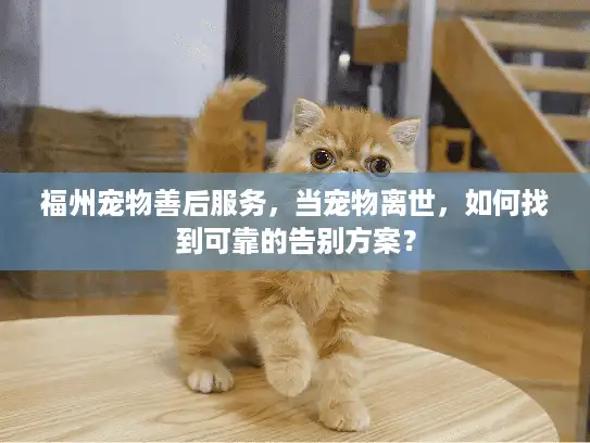 福州宠物善后服务，当宠物离世，如何找到可靠的告别方案？