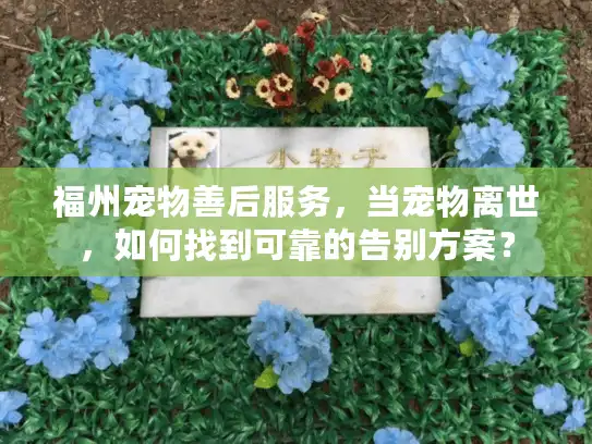 福州宠物善后服务，当宠物离世，如何找到可靠的告别方案？