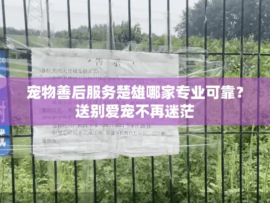 宠物善后服务楚雄哪家专业可靠？送别爱宠不再迷茫