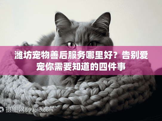 潍坊宠物善后服务哪里好?告别爱宠你需要知道的四件事 潍坊宠物善后服务哪里好?告别爱宠你需要知道的四件事