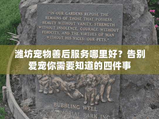 潍坊宠物善后服务哪里好?告别爱宠你需要知道的四件事 潍坊宠物善后服务哪里好?告别爱宠你需要知道的四件事