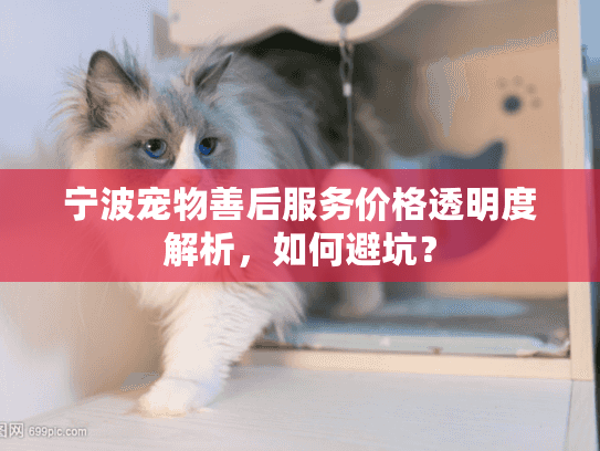 宁波宠物善后服务价格透明度解析，如何避坑？
