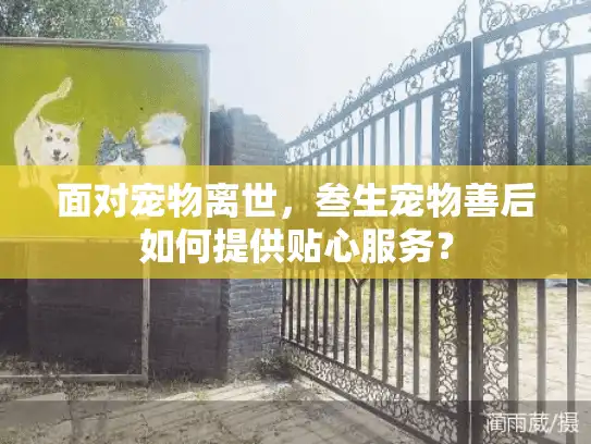 面对宠物离世，叁生宠物善后如何提供贴心服务？