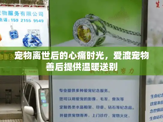 宠物离世后的心痛时光，爱渡宠物善后提供温暖送别