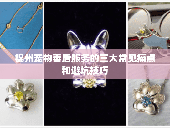 锦州宠物善后服务的三大常见痛点和避坑技巧 锦州宠物善后服务的三大常见痛点和避坑技巧