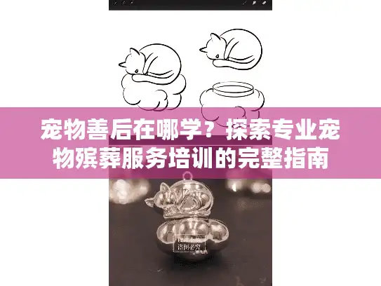 宠物善后在哪学？探索专业宠物殡葬服务培训的完整指南